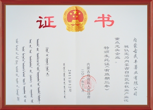 自治區(qū)農(nóng)牧業(yè)產(chǎn)業(yè)化重點龍頭企業(yè)